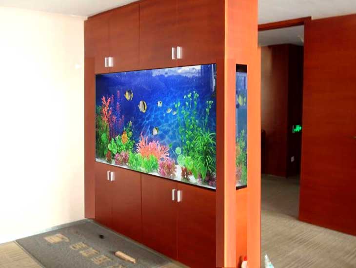 昆明搬家搬運魚缸需要注意的事項有哪些？