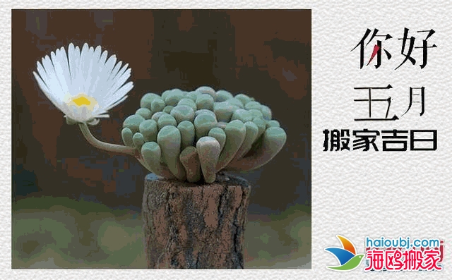 2021五一搬家吉日.png 2021五一搬家吉日.png